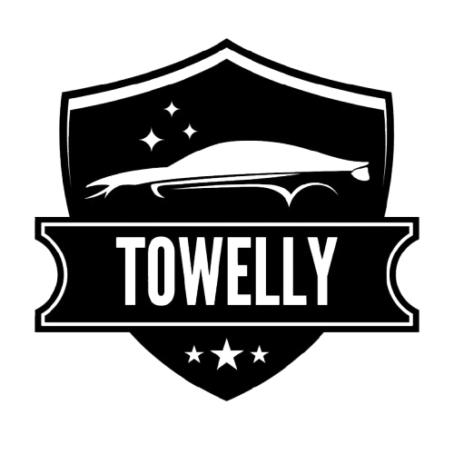 Towelly – Expertul tău în uscarea și întreținerea profesională a mașinii
